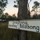 Illustration for article titled AWOL Around Australia... Part 43. Lorella Springs Station.